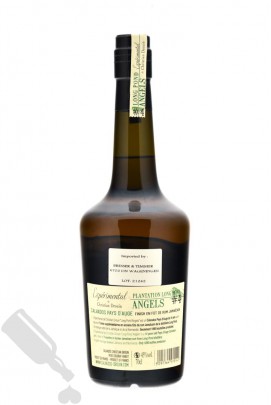 Christian Drouin Expérimental Long Pond Angels