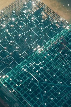 Vuurzee Cuvée de Prestige 2021 Sea Matured