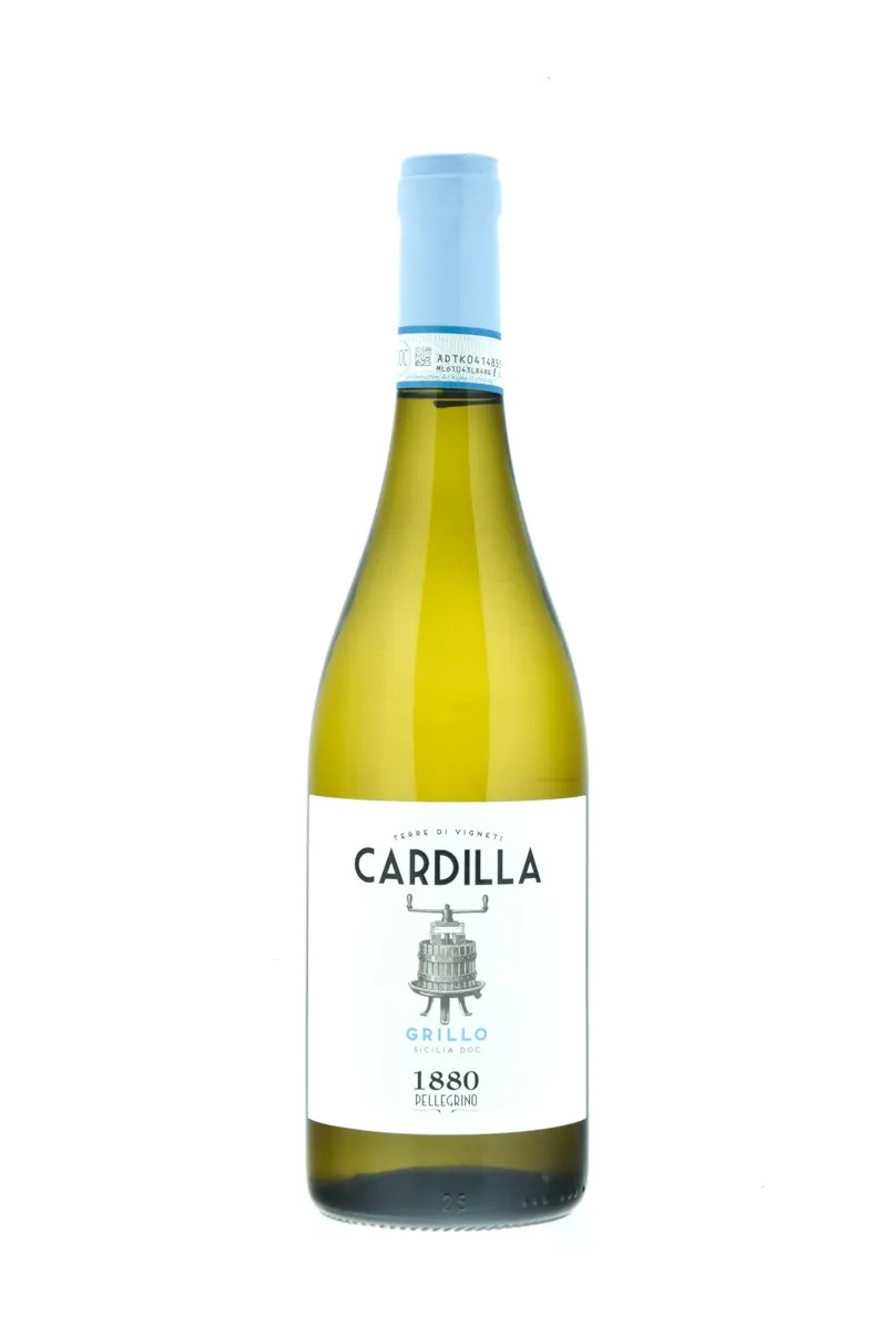 Pellegrino Cardilla Grillo 2024