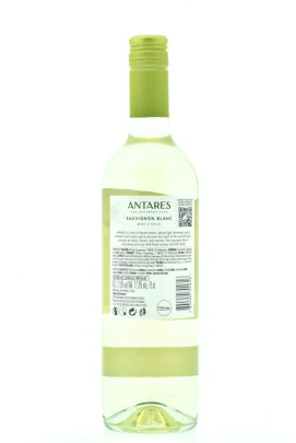 Antares Sauvignon Blanc 2025