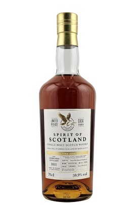 Glenrothes 14 years 2011 - 2026 #23600301 Spirit of Scotland