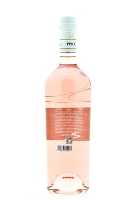 Pipoli Rosato 2025