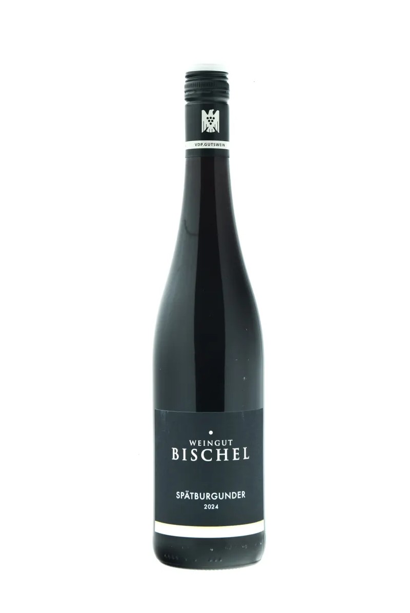 Weingut Bischel Spätburgunder 2024 Weingut Bischel Spätburgunder 2024